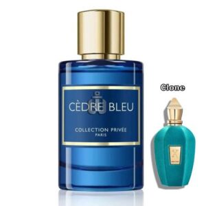 Cèdre Bleu